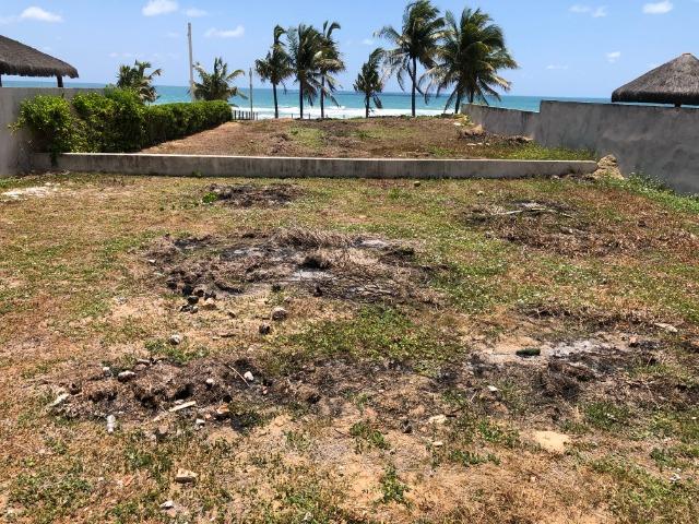 Excelente Lote 16X40 beira-mar, Porto de Galinhas Ipojuca/PE - Brasil - Foto 2