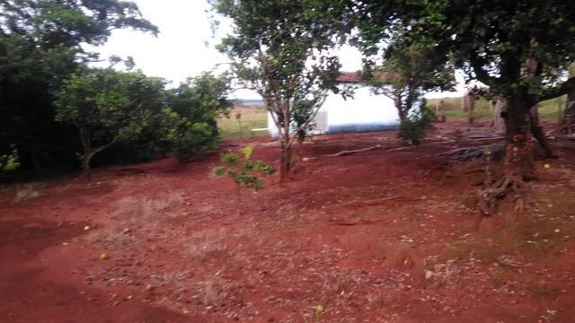 Fazenda terra de cultura município Tupaciguara - Foto 10