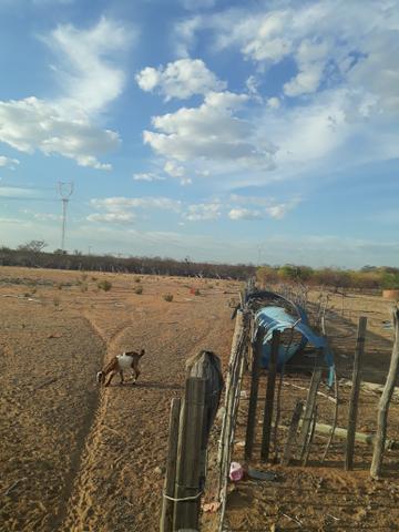Lote - Foto 2