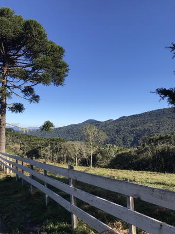 Sítio em Urubici - Foto 8