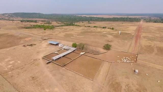 6.100 Há c/ Lavoura em Nova Canna do Norte-MT - Foto 11