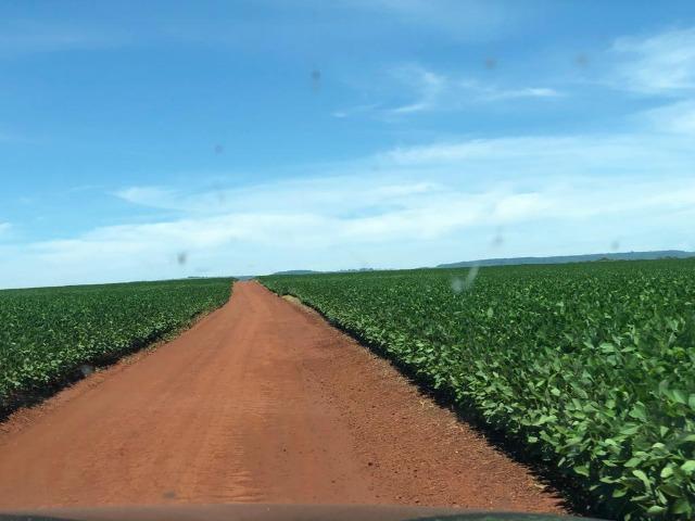 130 Alq. em Lavoura. Paraúna-GO. (Terra de Primeira)