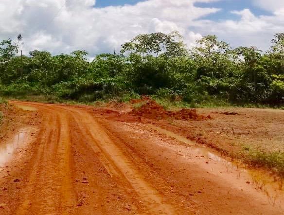 Fazenda de 610 Alqueires no Pará à R$ 28.000,00/HA - Foto 3
