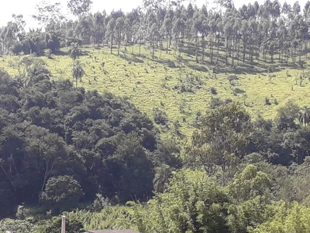 Área Santa Bárbara - Foto 6