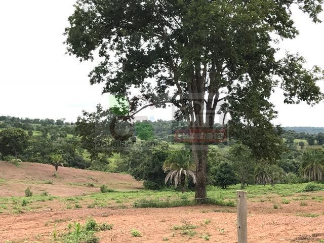 220 Alq. (Plana + Asfalto + Rio). 70 km de Goiânia - Foto 15