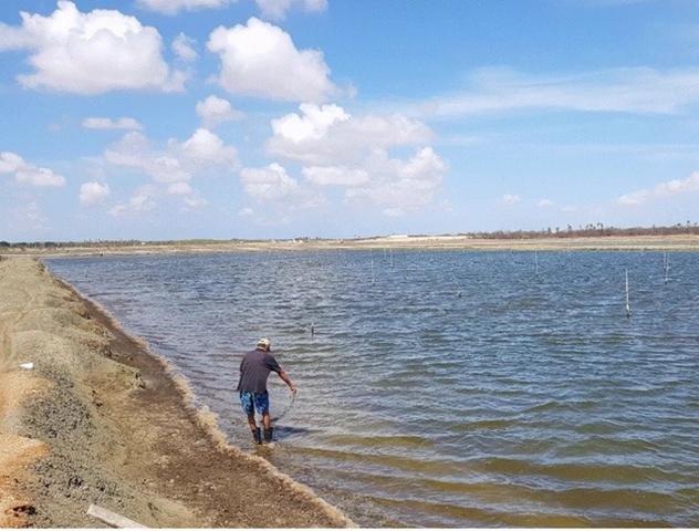 Vendo Fazenda de Camarão em Mossoró ? RN - Foto 11