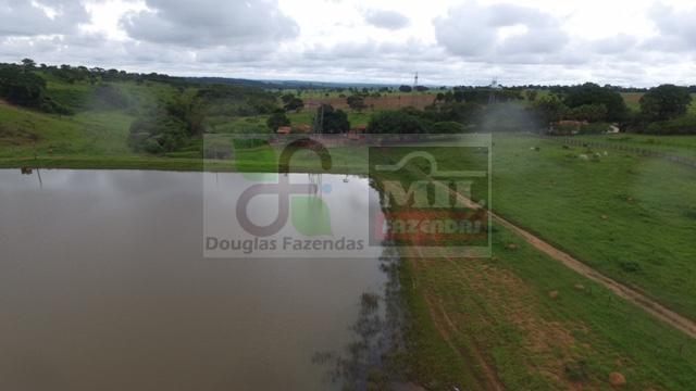 220 Alq. (Plana + Asfalto + Rio). 70 km de Goiânia - Foto 3