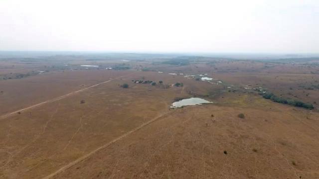 6.100 Há c/ Lavoura em Nova Canna do Norte-MT - Foto 3