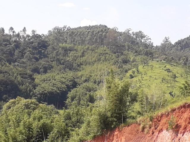 Área Santa Bárbara - Foto 3