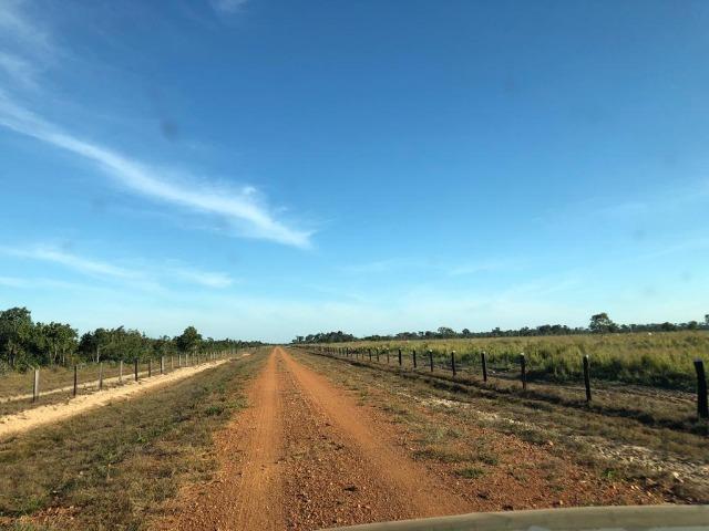 Fazenda Boa de Terra em Cocalinho - MT - Foto 3