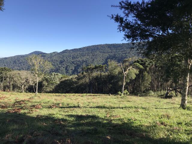 Sítio em Urubici - Foto 6