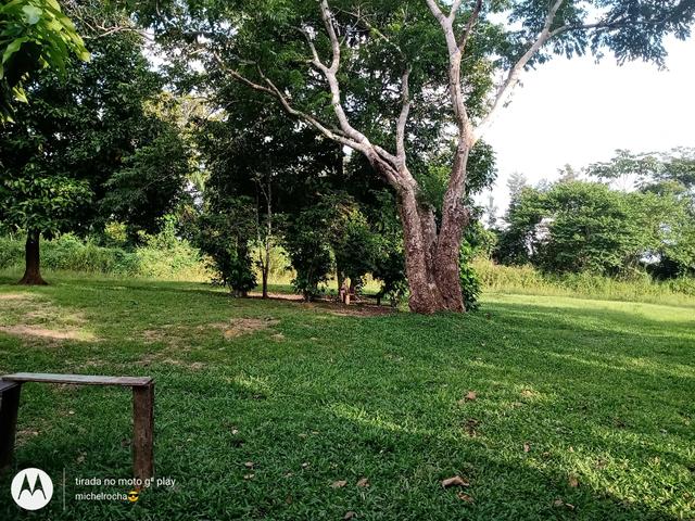 Chacara - Foto 7