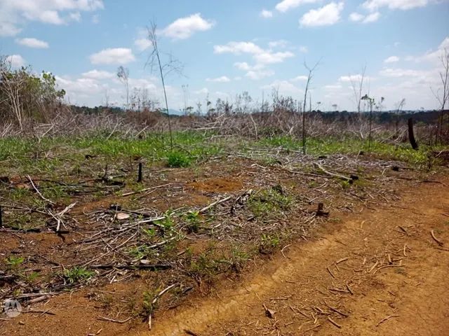 Vendo fazenda em Valença  - Foto 3