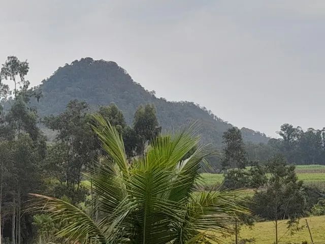 foto - Piracicaba - Jardim Parque Jupiá