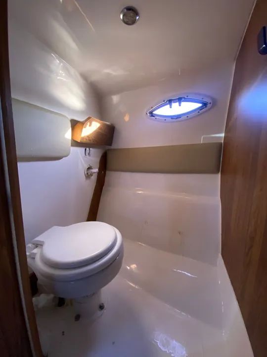 Lancha Evolve 2017 - Foto 4