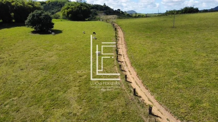 Fazenda Pindorama - Belíssima fazenda de 58ha entre Joaquim Gomes e Matriz de Camaragibe - Foto 2