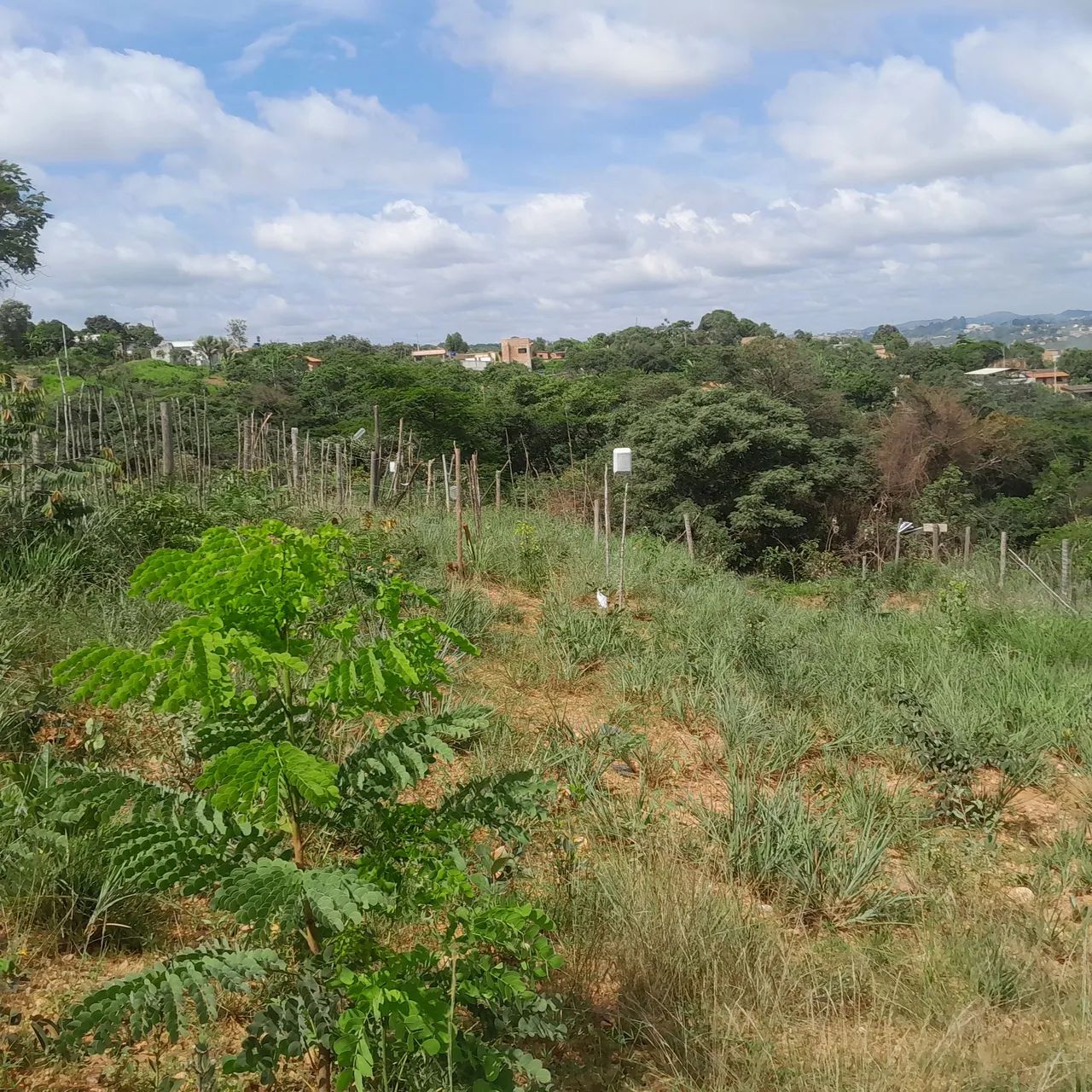 Terreno com área verde em ótima localização - Foto 2