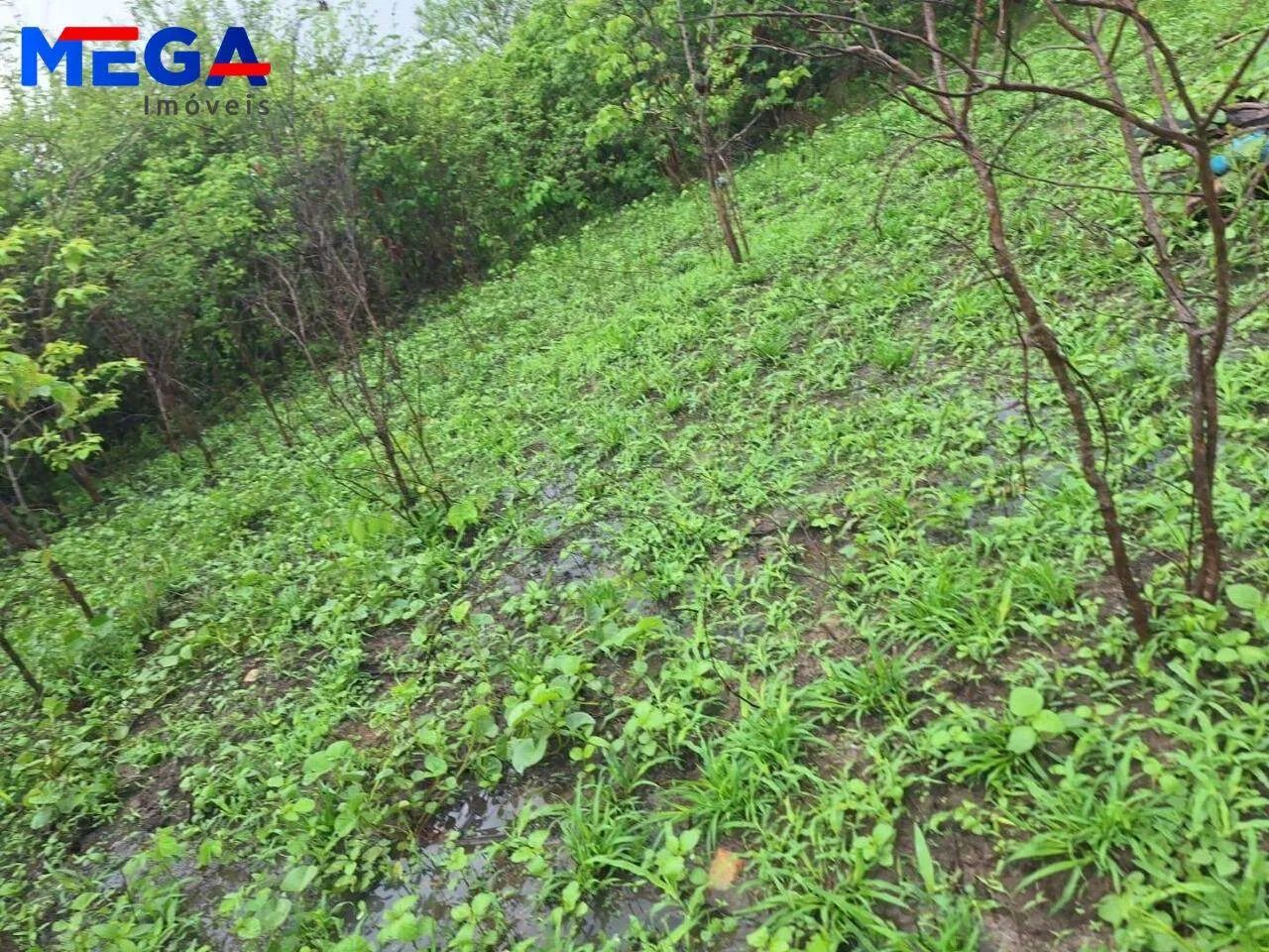 Terreno à venda, 1980 m² por R$ 100.000 - Toco - Caucaia/CE - Foto 3