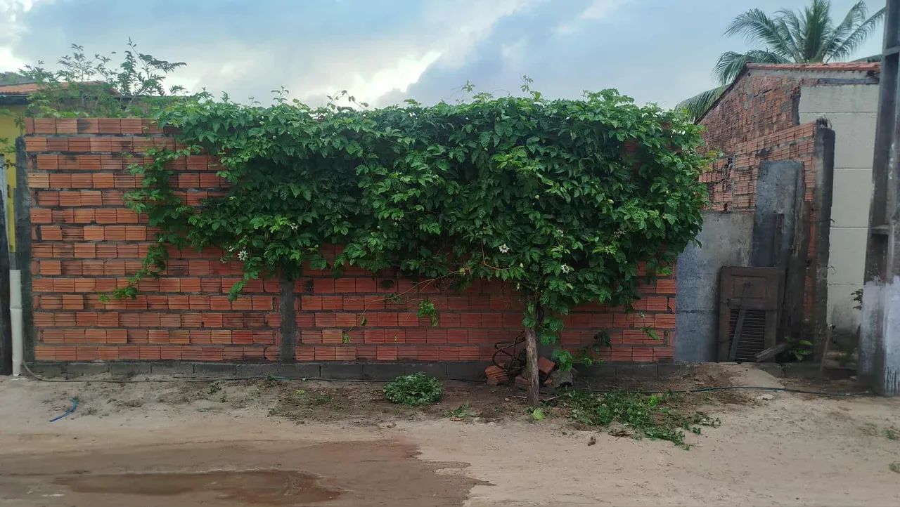 Foto - Paço do Lumiar - 