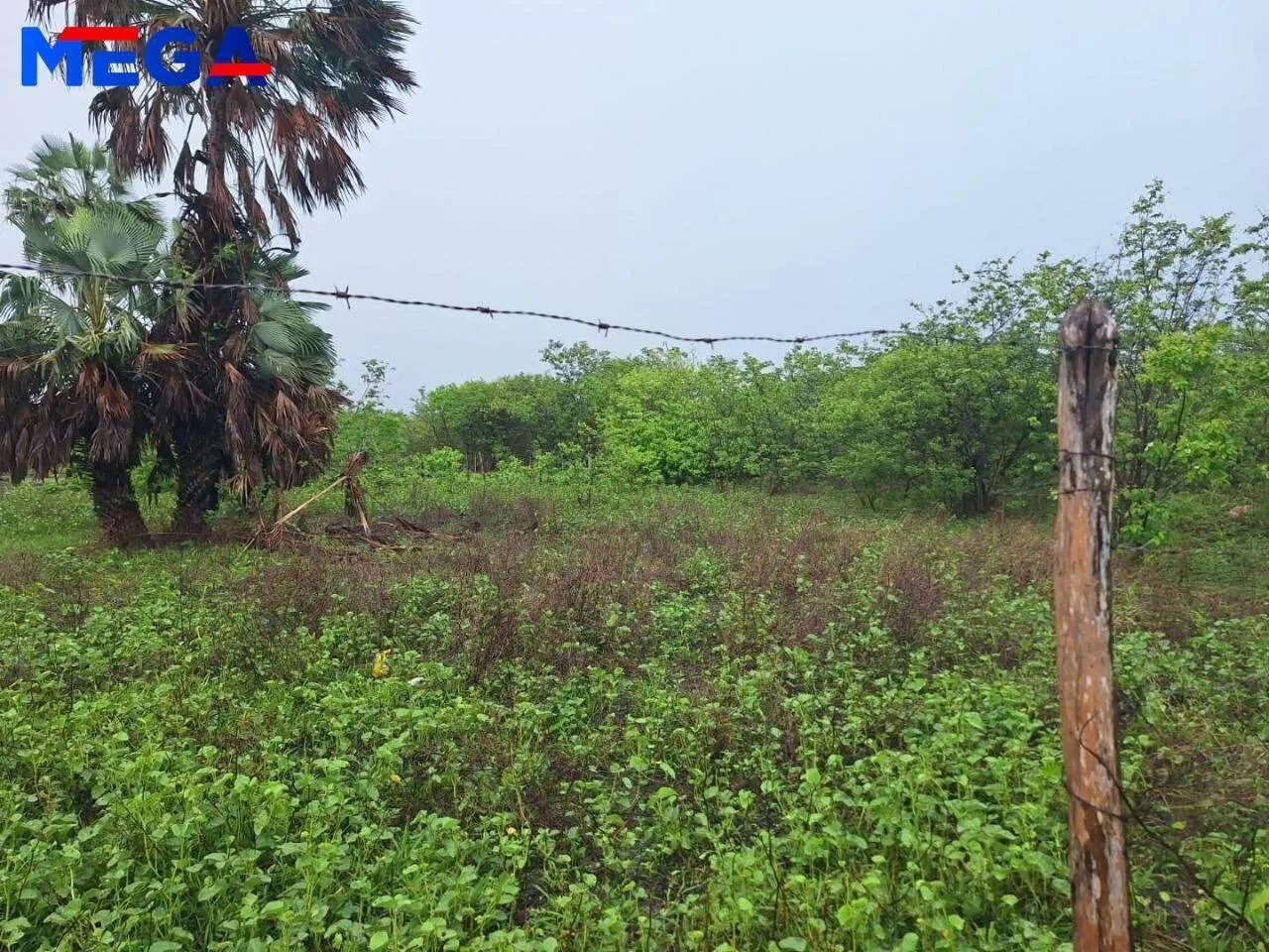 Terreno à venda, 1980 m² por R$ 100.000 - Toco - Caucaia/CE