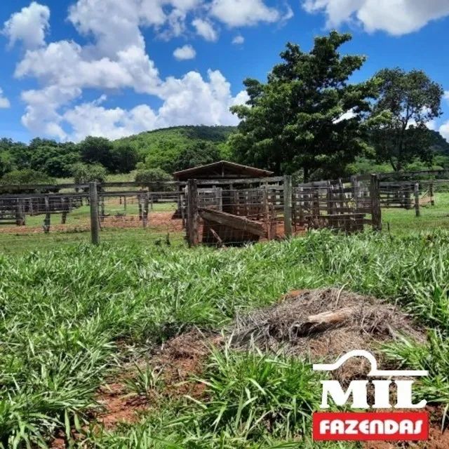 Fazenda 210 Alqueire (1016Ha) Alto Garças - MT