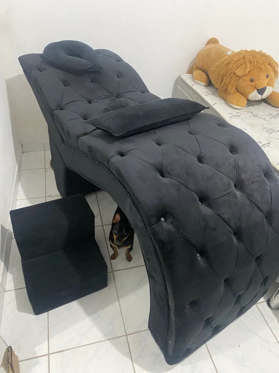 Maca luxo64529926123649121