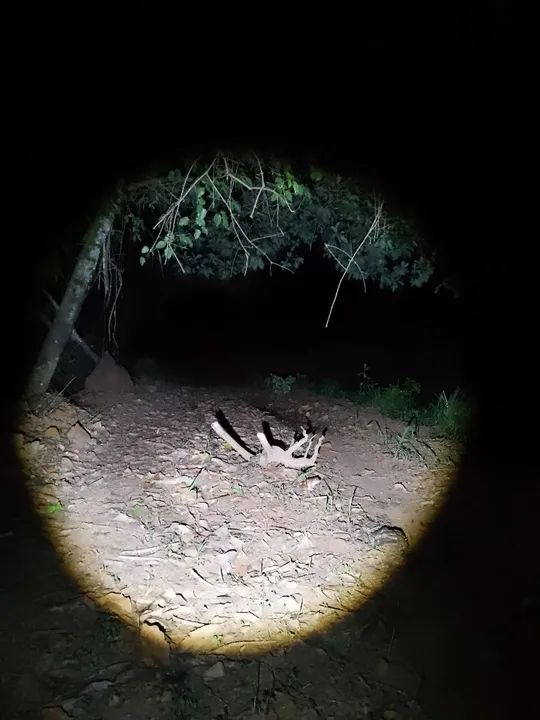 LANTERNA LED V3 - Foto 4