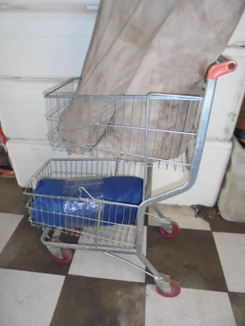 carrinho de mercado