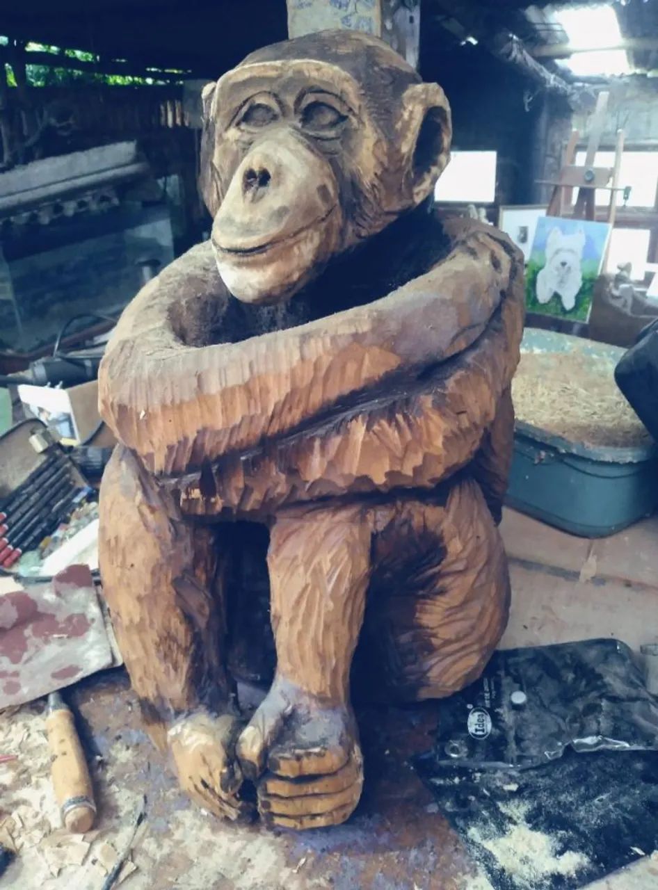 Chimpanzé - escultura em madeira. - Foto 4