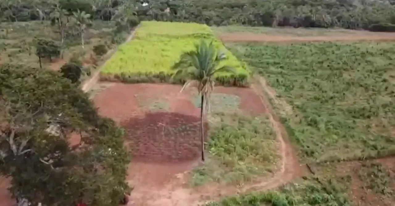 FAZENDA À VENDA  COCOS/BA    475 HECTARES  DUPLA APTIDÃO
