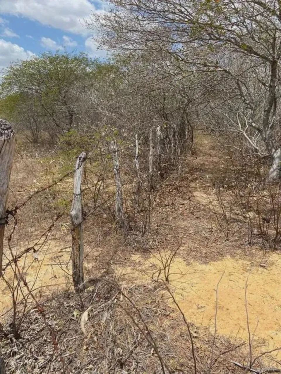 fazenda com 395 hectares na região de Guamaré - Foto 5