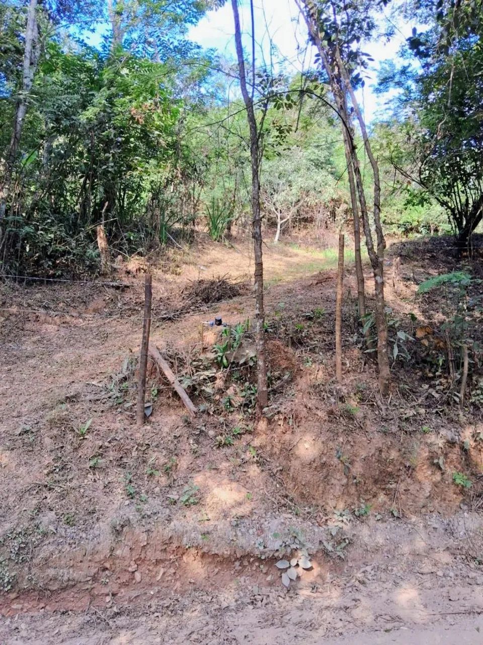 Melhor lote de Honório Bicalho  - Foto 2