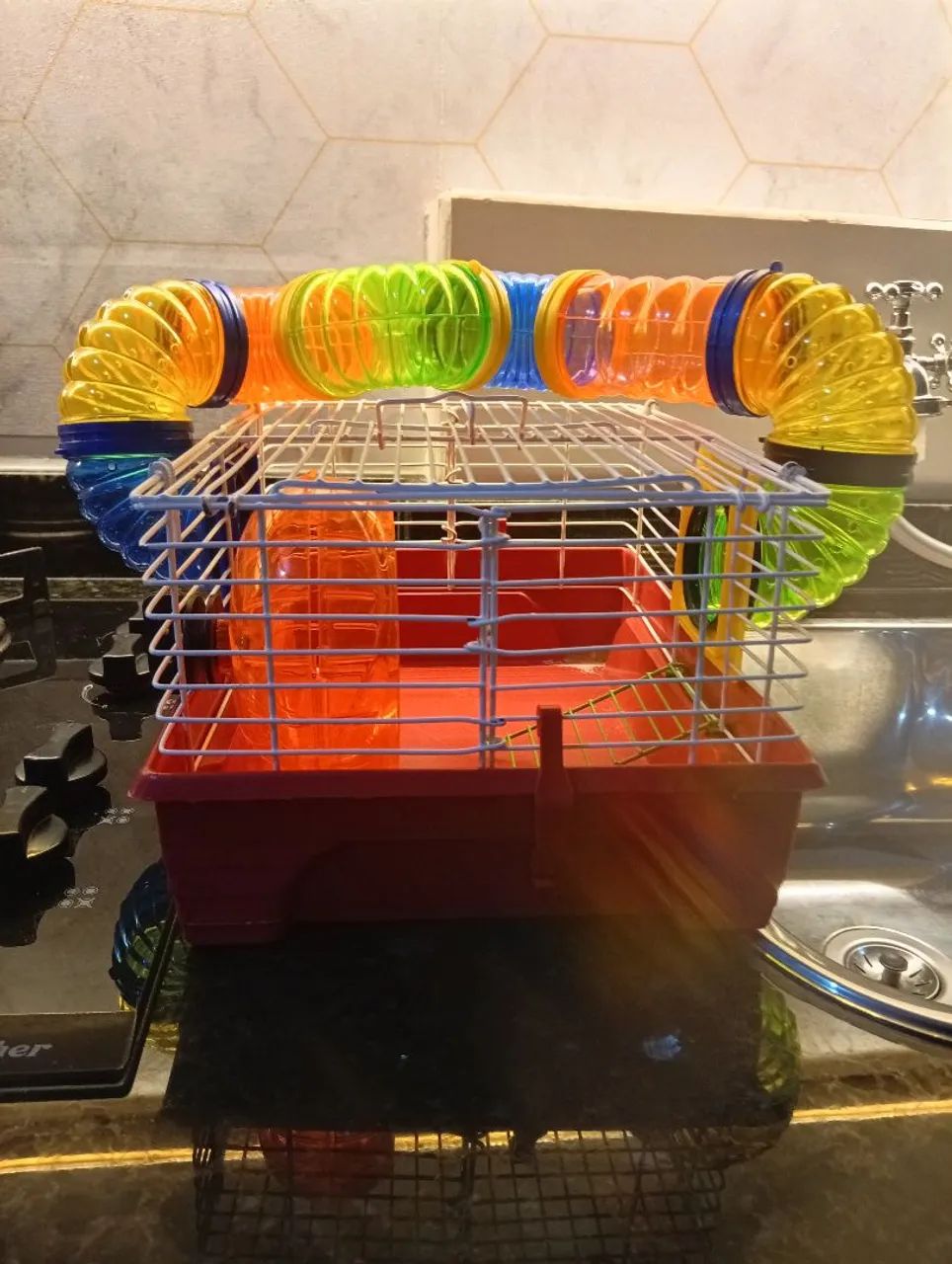 Gaiola Hamster - Foto 3