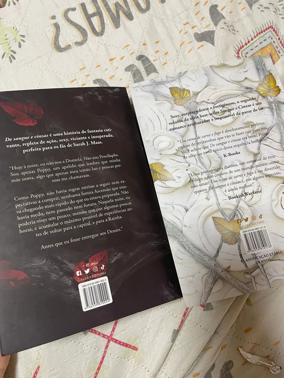De sangue e cinzas dois livros - Foto 5