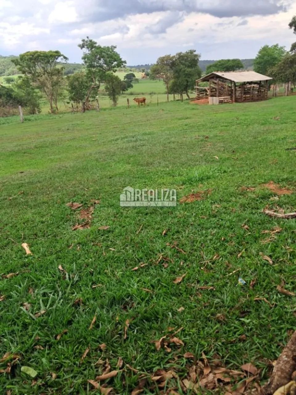 Chácara à venda próximo à Veríssimo! - Foto 5