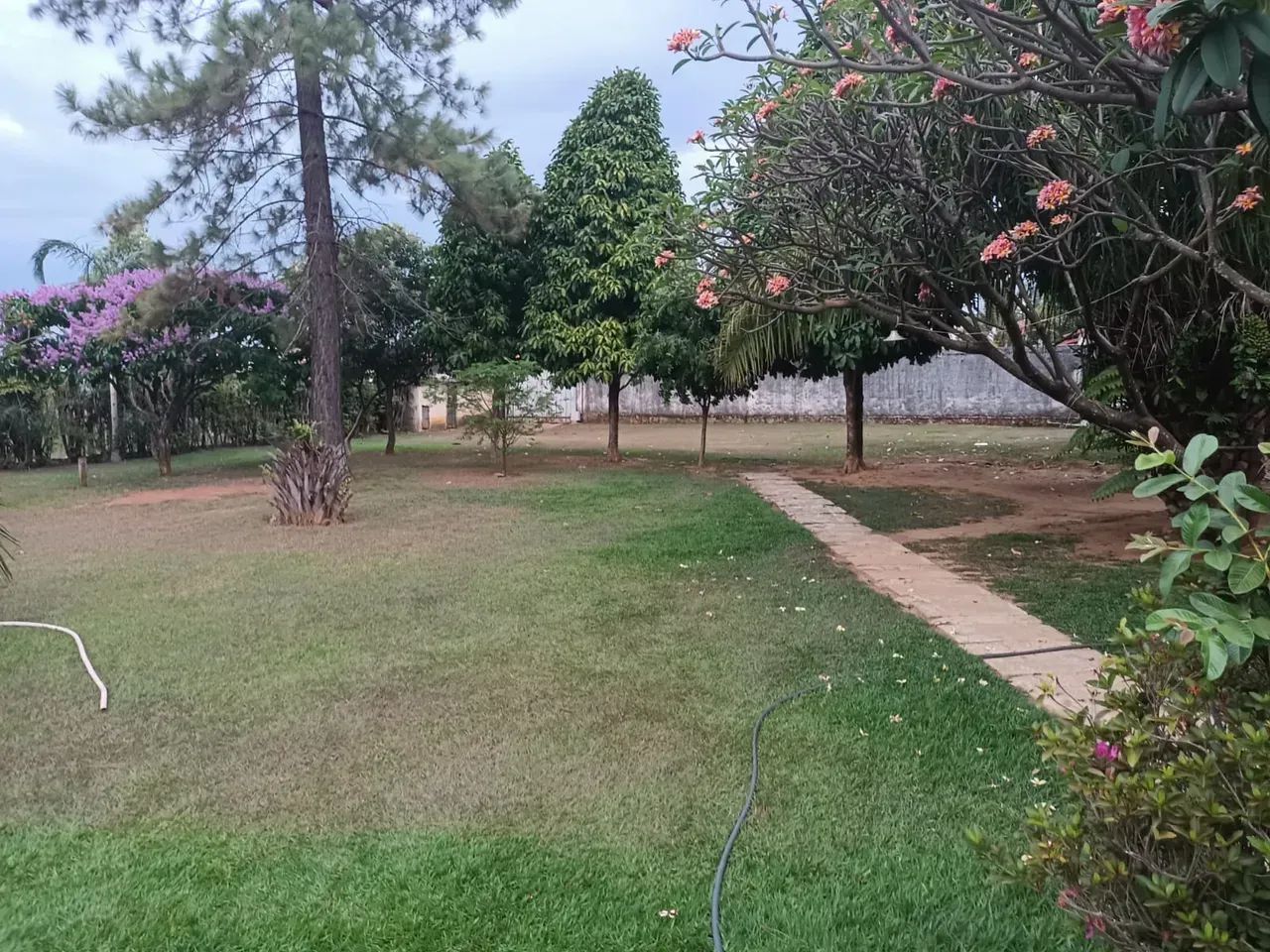 ÁREA DE 8.800 METROS LOCALIZADA NO BAIRRO CARDOSO PROX A AV RIO VERDE OPORTUNIDADE ÚNICA E - Foto 6