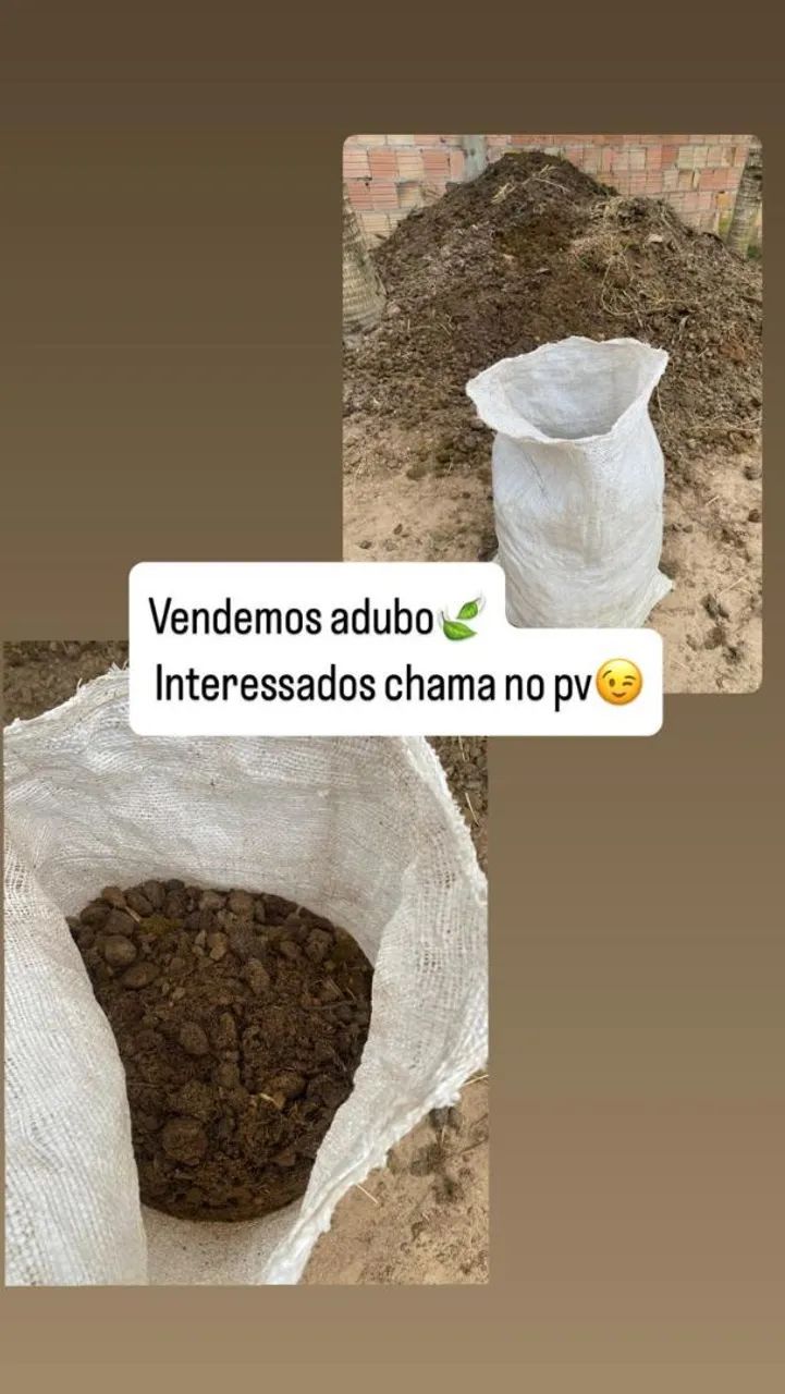 ADUBO DE BOI 