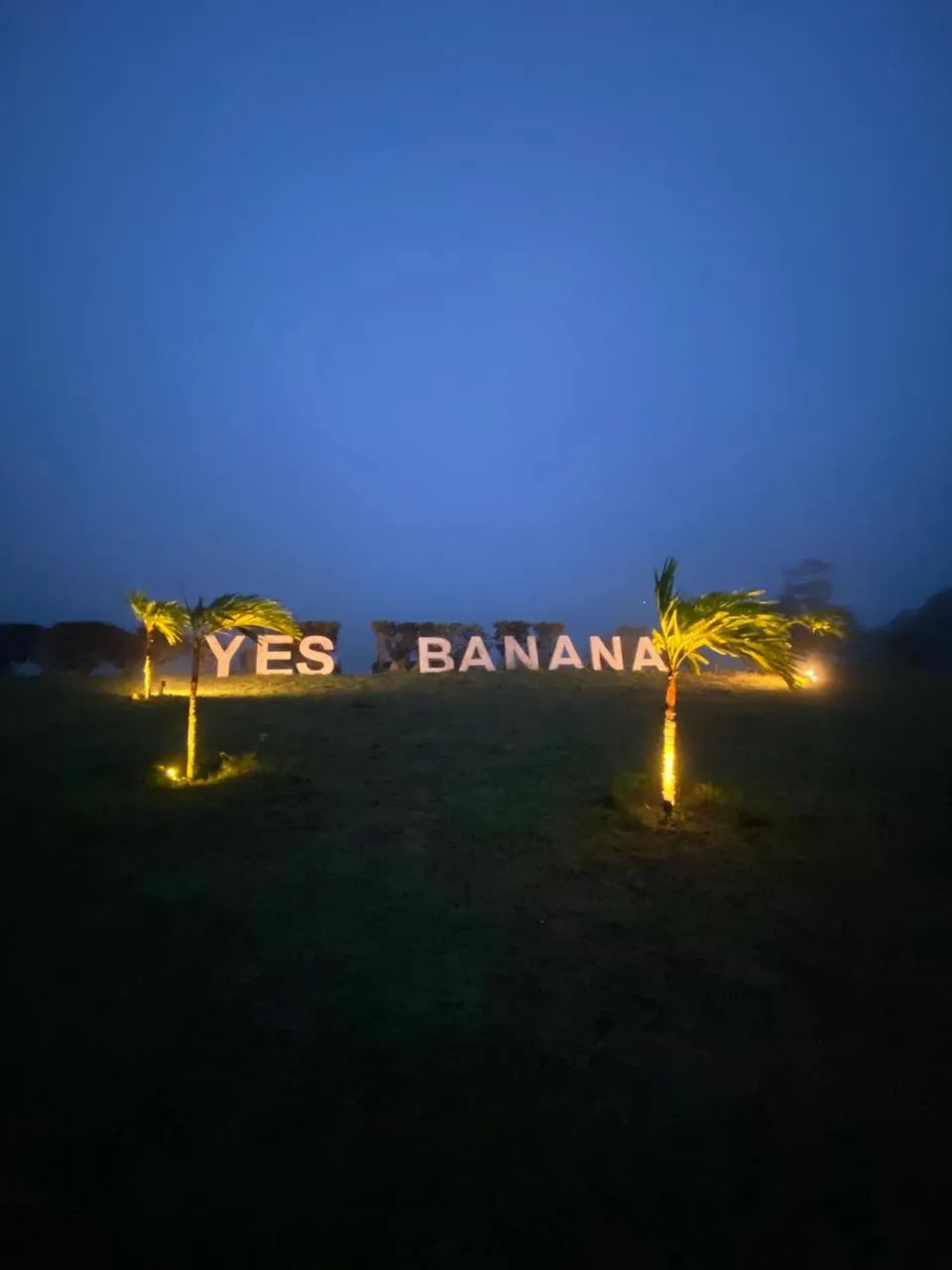 Lote no Yes Banana