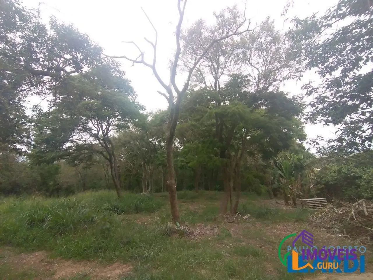 TERRENO - VISTA ALEGRE - SP - Foto 4