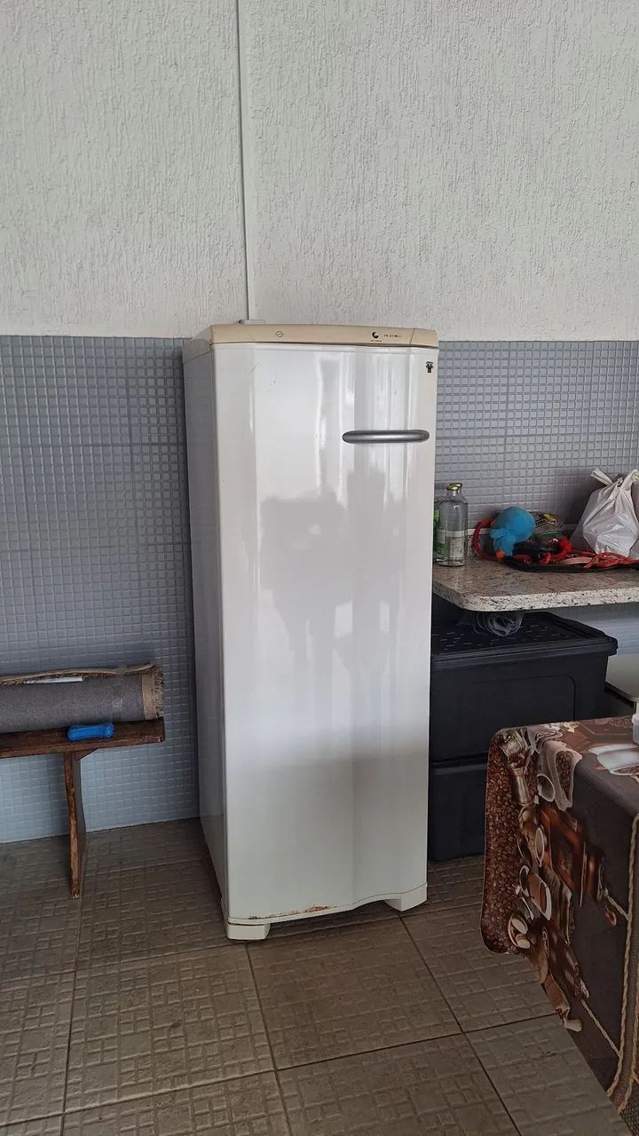 Freezer Electrolux
