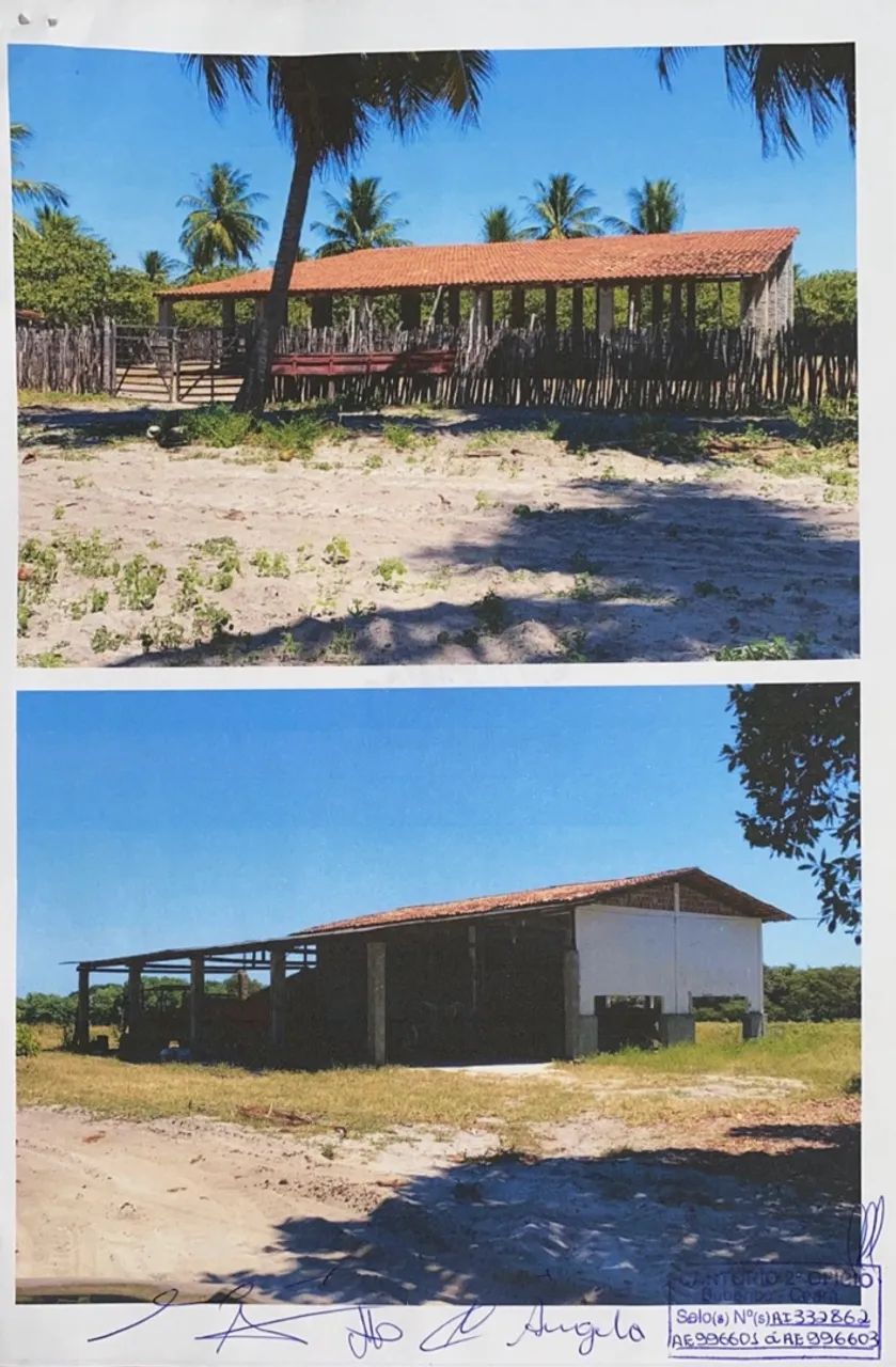 Fazenda em Beberibe - Foto 2