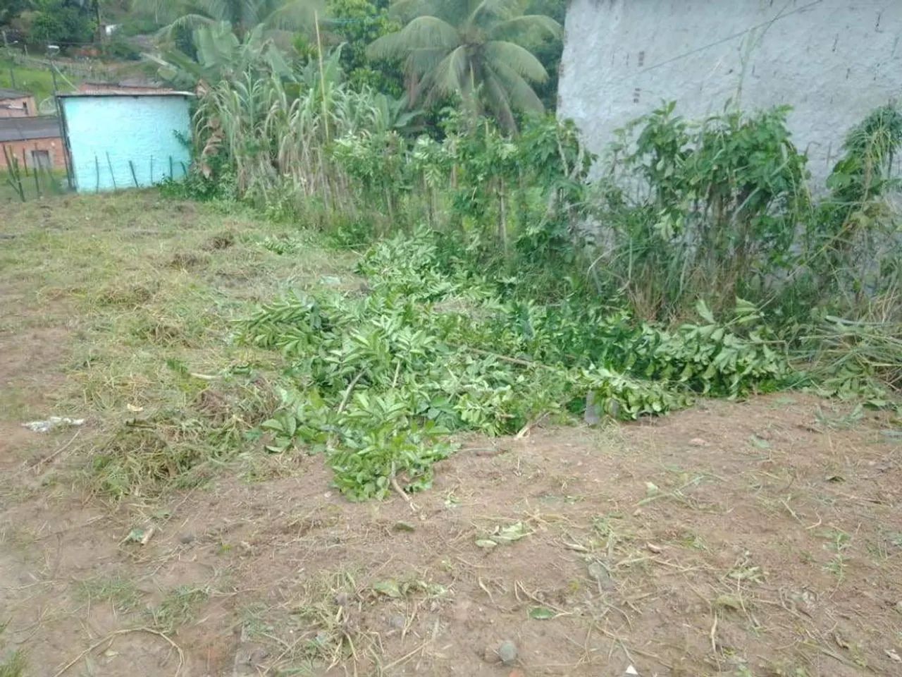 Terreno Simões Filho  - Foto 3