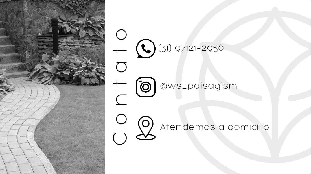 Jardinagem e serviços - Foto 2