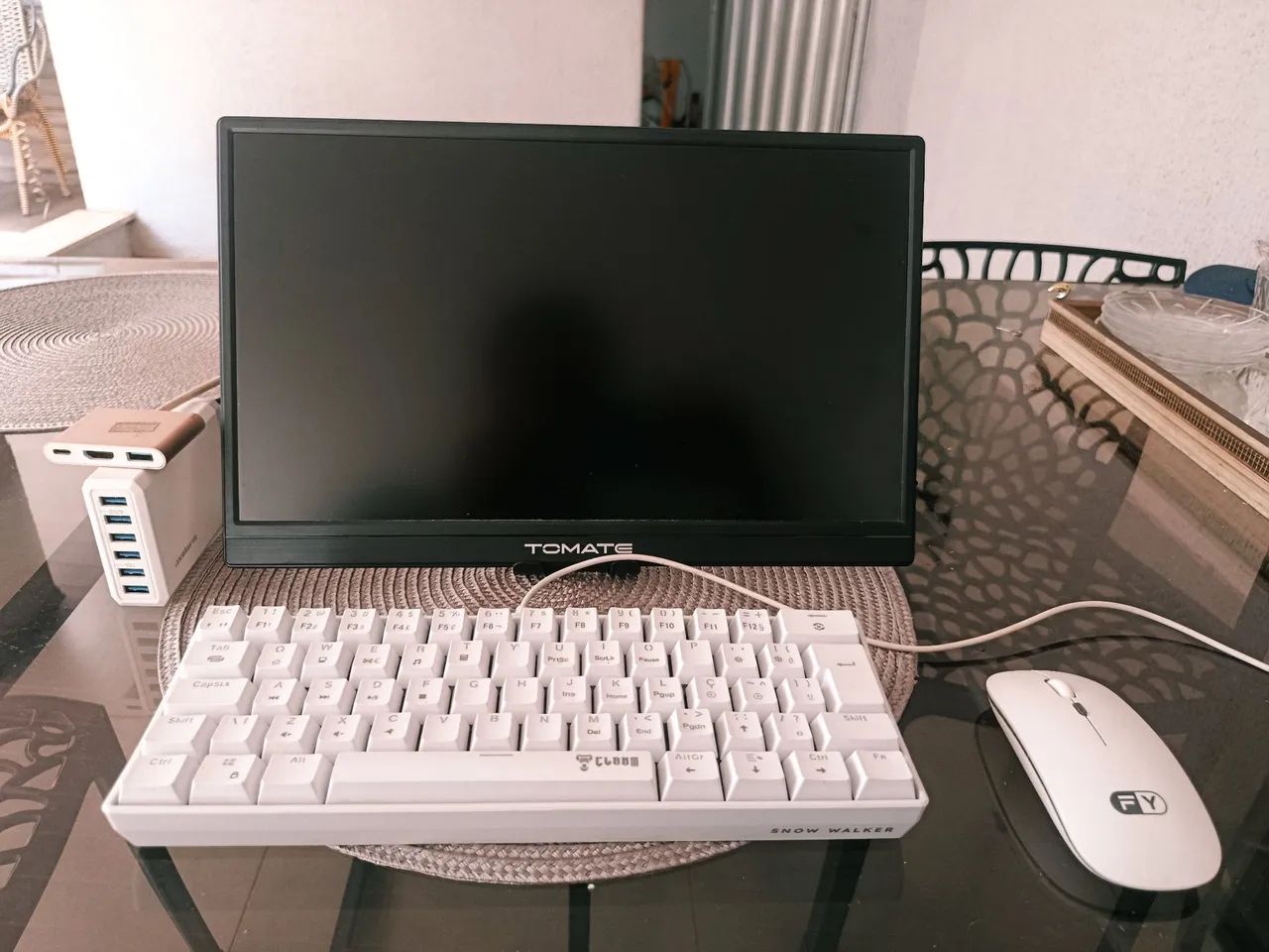 Monitor portátil e periféricos 