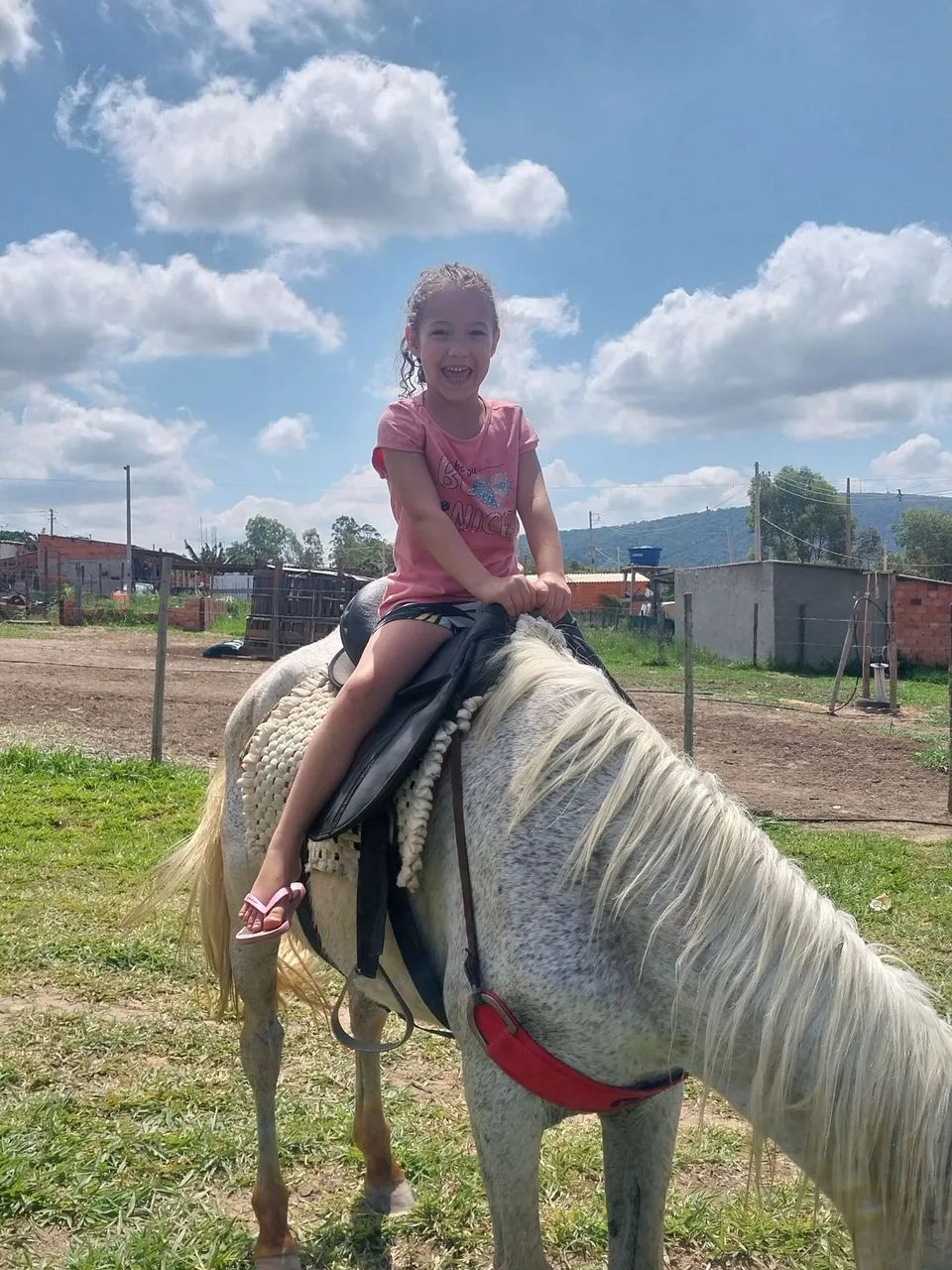 Vendo cavalo manso pra criança faço troca algo que me enteressa ou venda no pix ou dinh ch - Foto 2