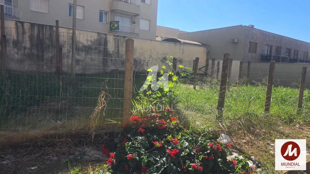 Terreno (terreno normal) - Foto 3