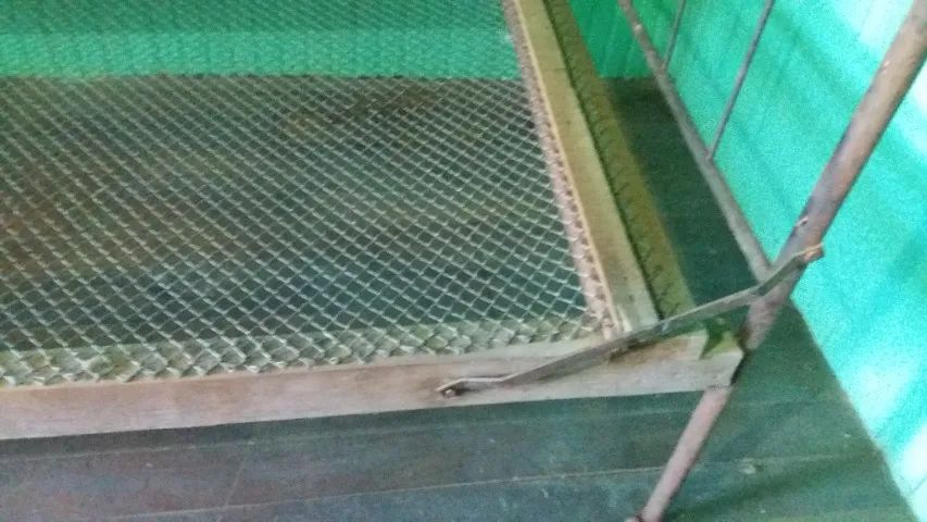 Cama solteiro antiga - Foto 5