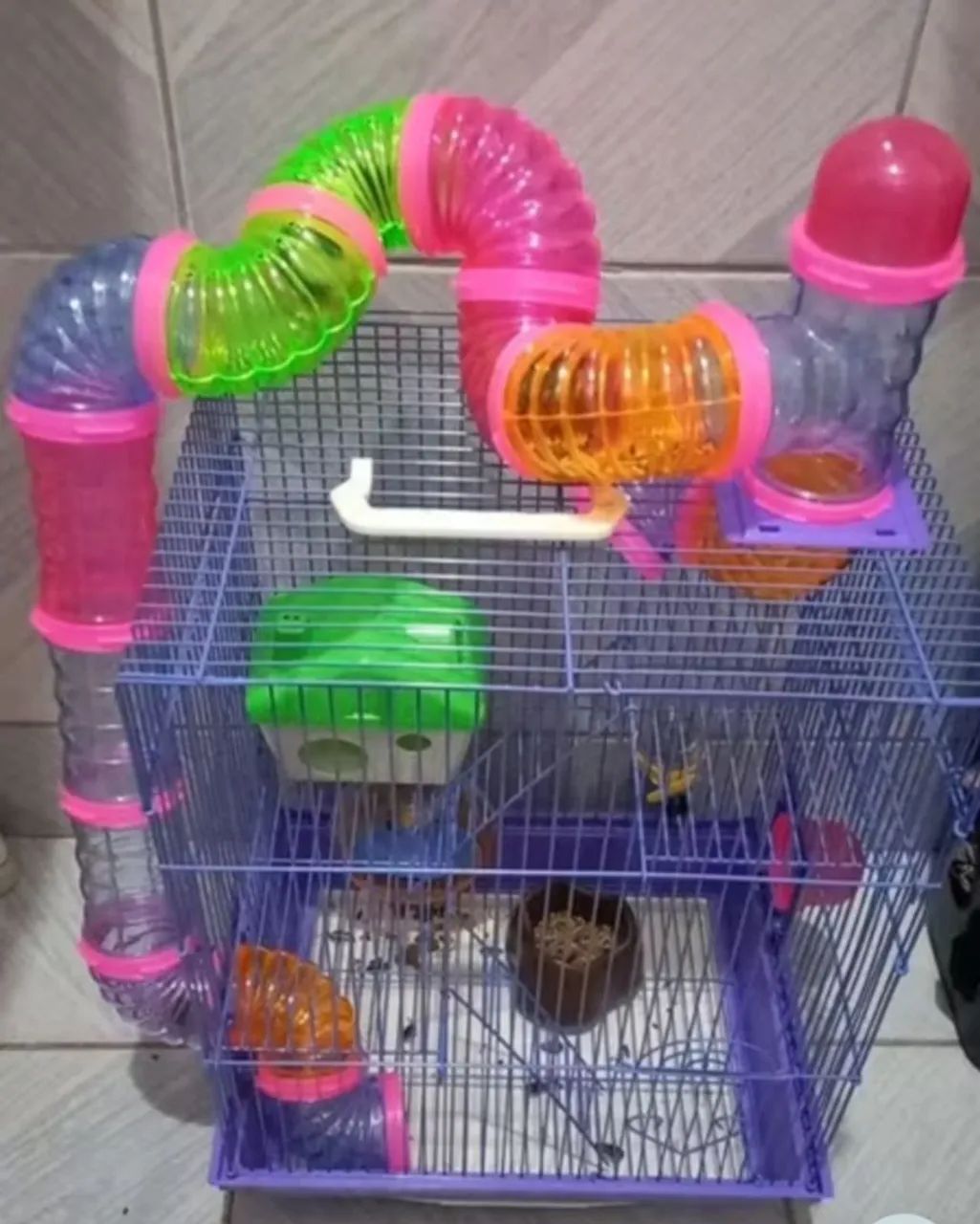 Gaiola para Hamster + doação de hamster - Foto 2