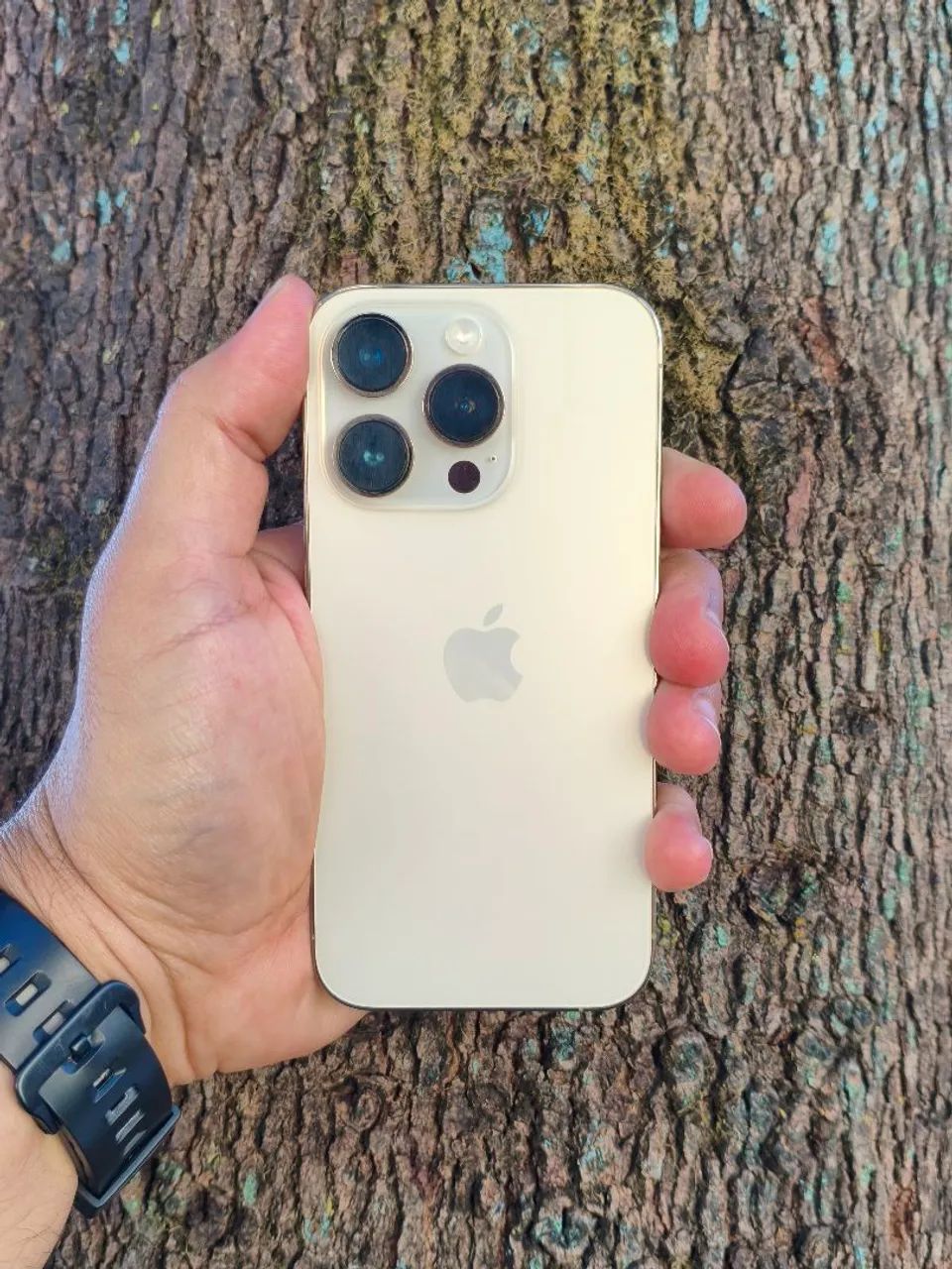 iPhone 14 PRO DOURADO 
