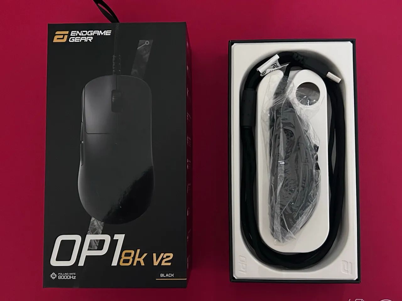 EGG OP1 8Kv2